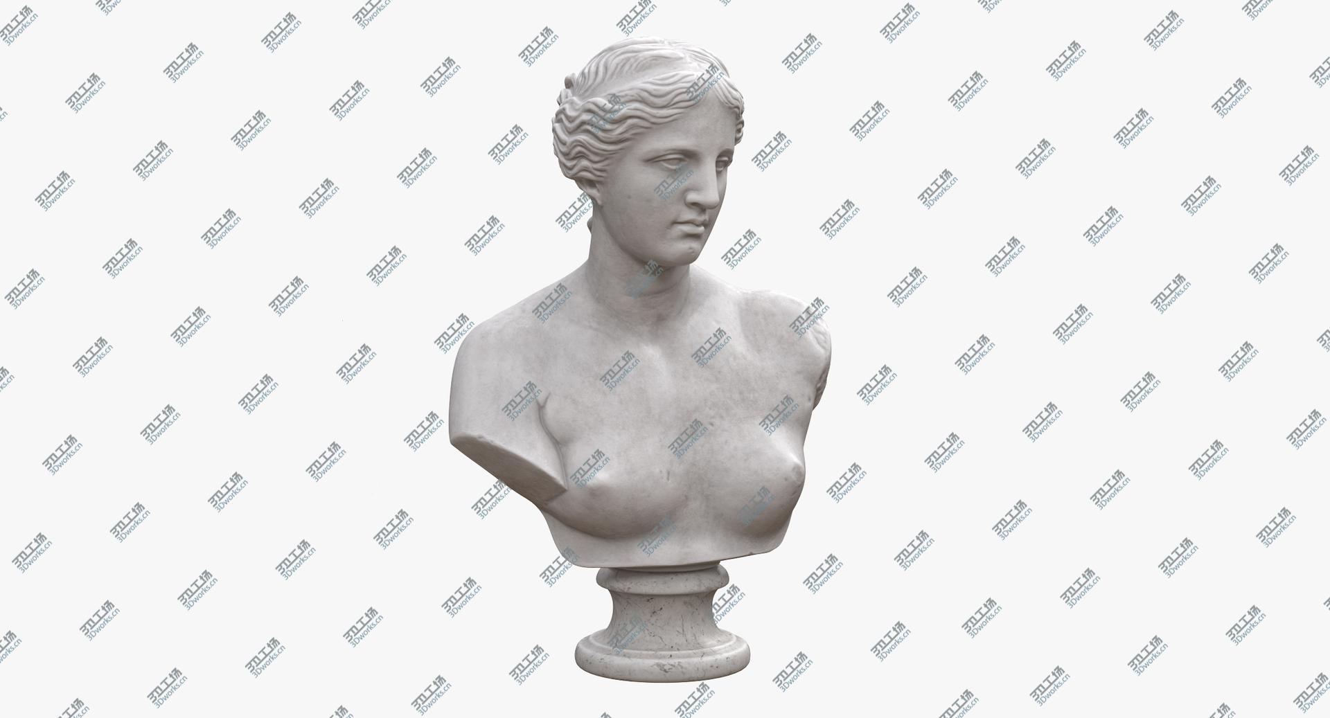 images/goods_img/2021040235/Venus de Milo Bust 3D model/3.jpg